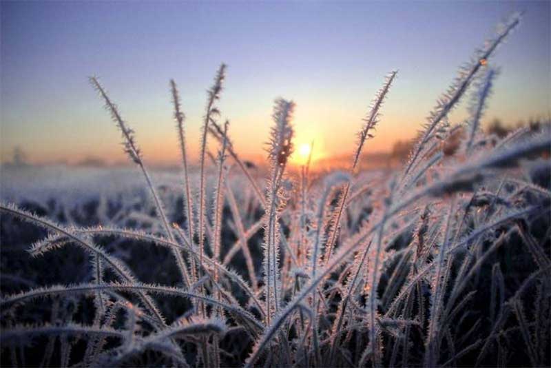 Температура воздуха в Оренбуржье понизится до -22 градусов