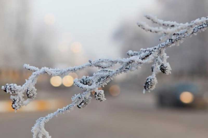 В Оренбуржье прогнозируют изморозь и снег