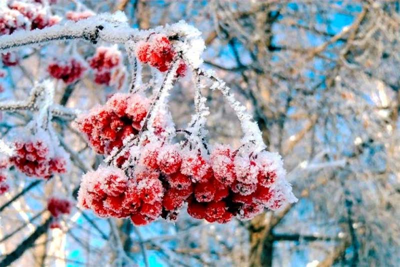 В конце недели в Оренбургскую область придут сильные морозы