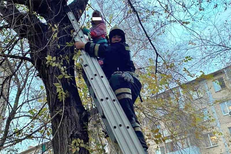 В Новотроицке пожарные помогли застрявшей на дереве девочке спуститься на землю
