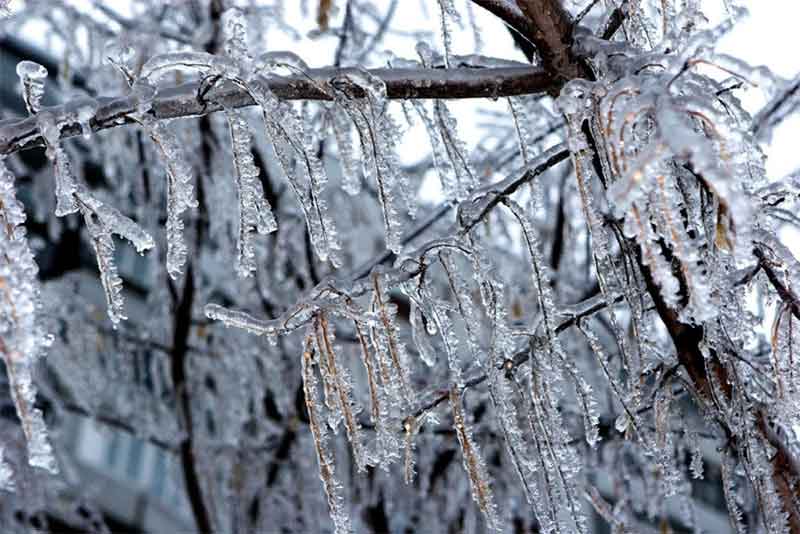 МЧС предупреждает оренбуржцев о сильных ледяных осадках и гололеде 23 и 24 ноября