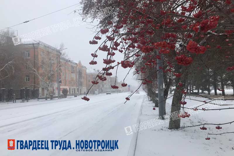 Днем, 25 января, в Оренбургской области прогнозируют небольшой снег и -14 градусов