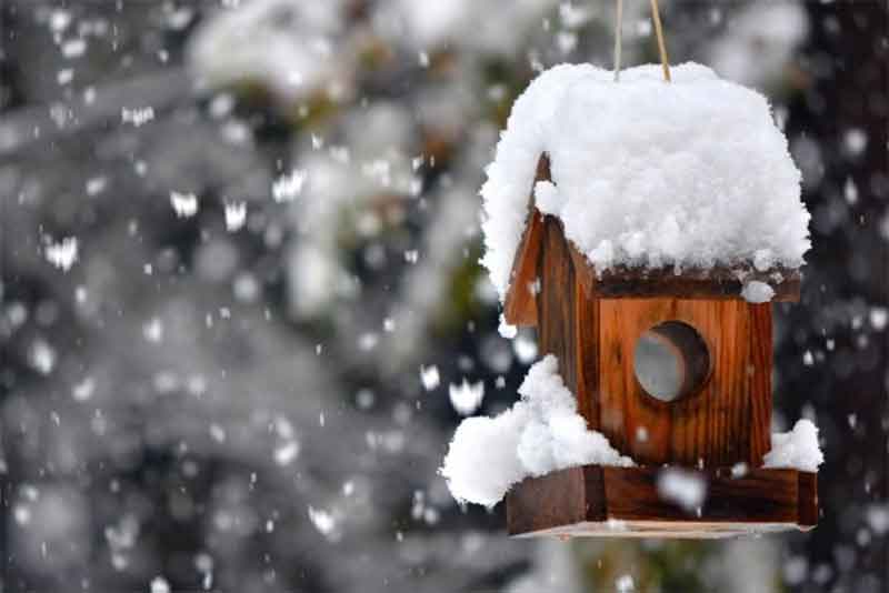 Очередной циклон принесёт в Оренбуржье снег и потепление