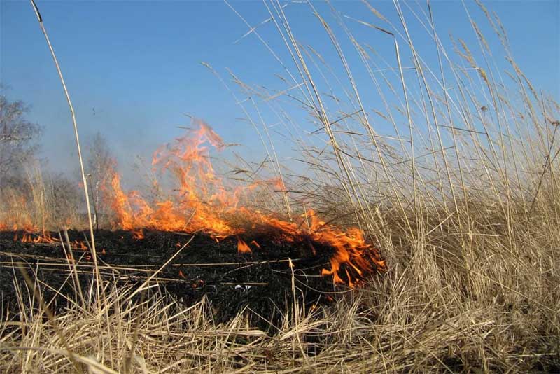 В Оренбуржье зарегистрирован первый в этом году  степной пожар 