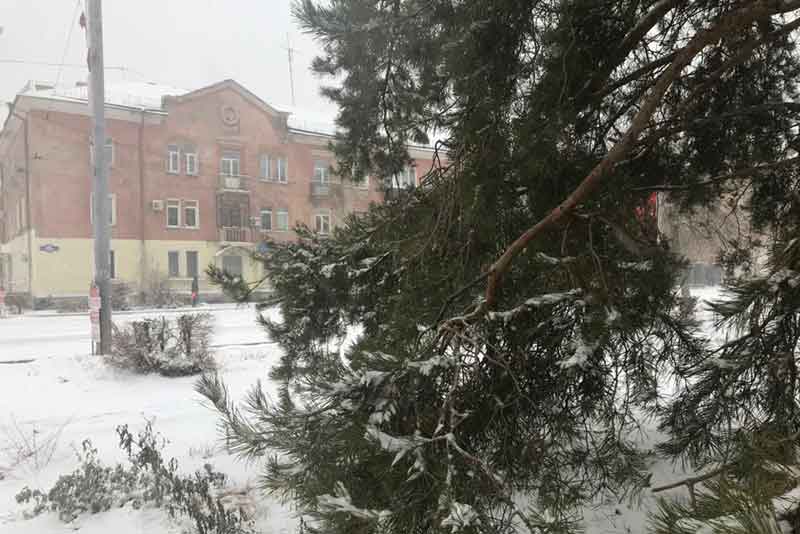 В Оренбуржье днем 27 декабря сохранятся метель, сильный ветер и снег