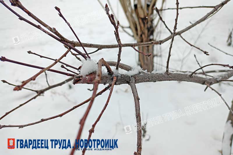 Днем, 27 декабря, в Оренбуржье пройдет снег, будет +2 градуса и местами слабая метель 