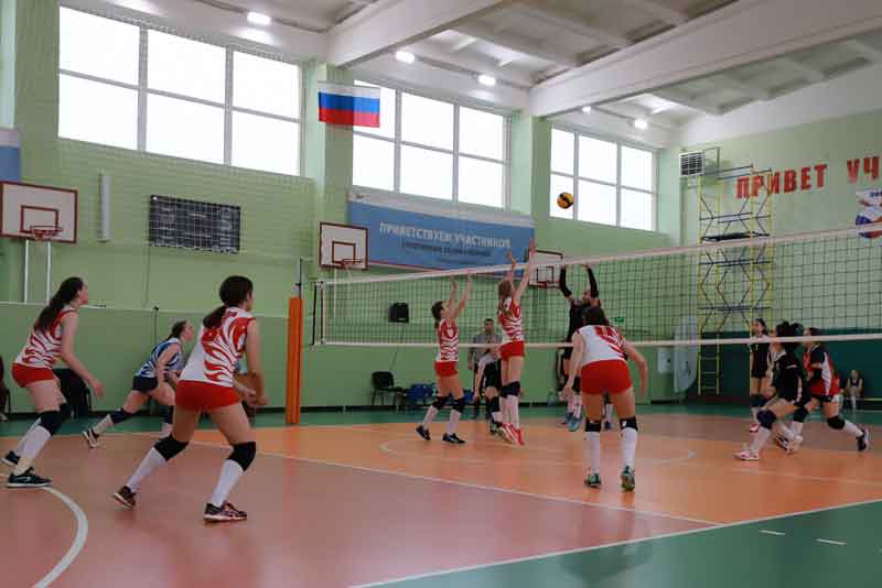 При поддержке «Металлоинвеста» прошёл турнир по волейболу памяти В. Некрасова