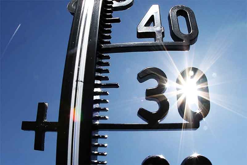 Аномальная жара задержится в Оренбуржье на неделю