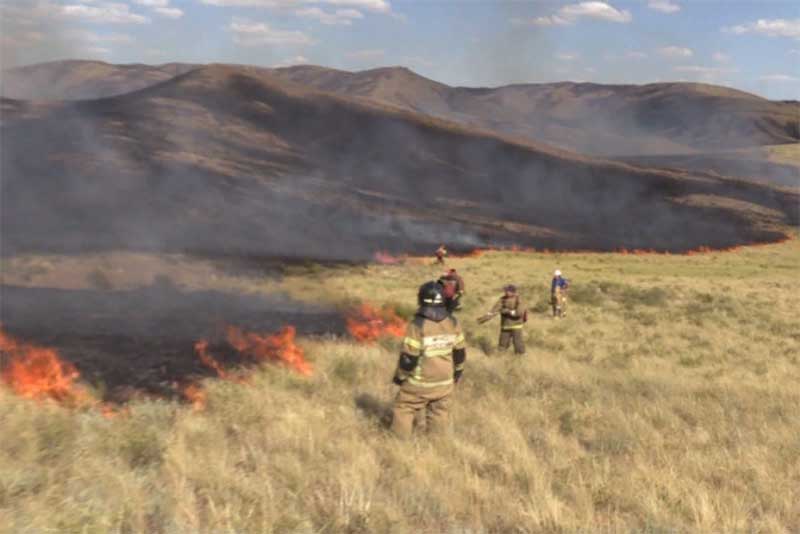 За сутки в Оренбуржье выгорело более 2 тысяч га степи