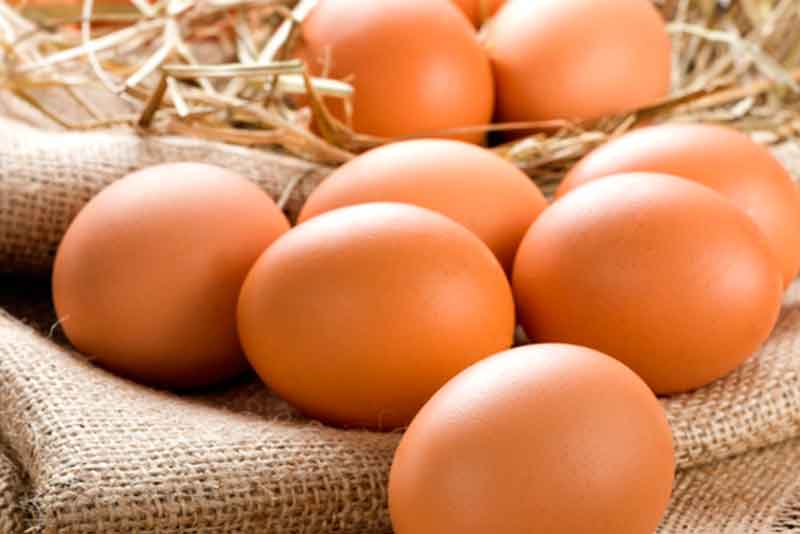Оренбургское УФАС России проводит проверку поставщиков куриных яйц