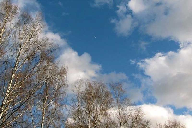 В Оренбургской области 29 марта ожидается переменная облачность без осадков
