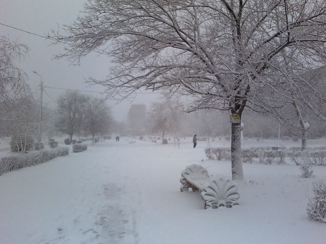 Днем 29 декабря в Оренбуржье ожидается небольшой снег и слабая метель