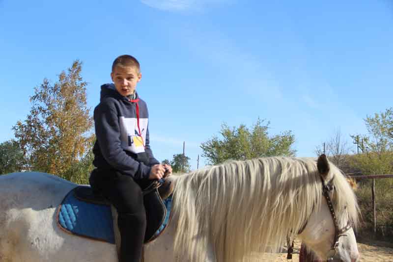 Школьники обучаются верховой езде на лошадях