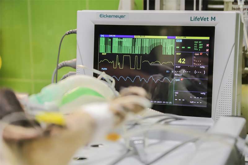 Еще один пациент с COVID-19 умер в Оренбуржье