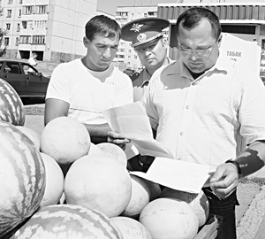 К нам приехали с бахчи полосатые «мячи»