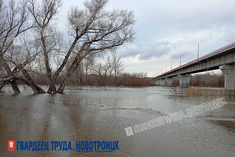 Первый день апреля в Оренбуржье будет пасмурным и теплым — до +13°