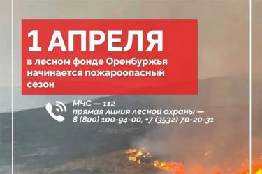С 1 апреля в Оренбуржье  наступил  пожароопасный сезон