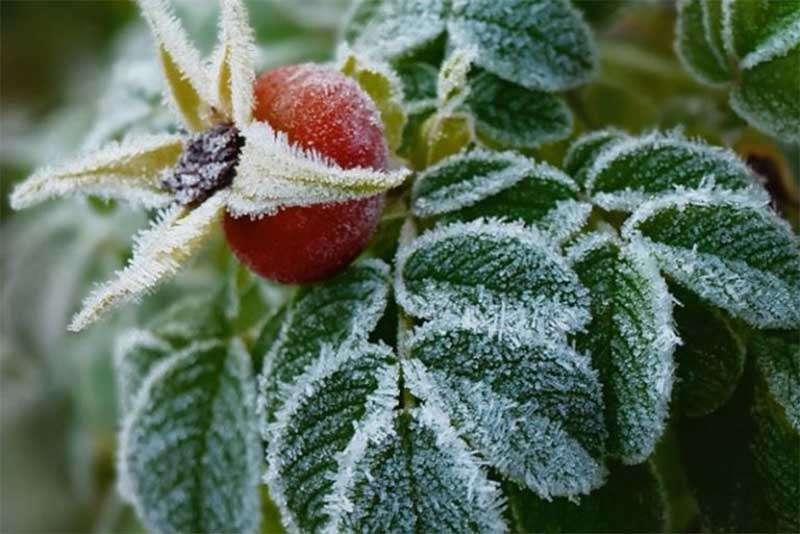 Синоптики: октябрь в Оренбуржье начался с заморозков