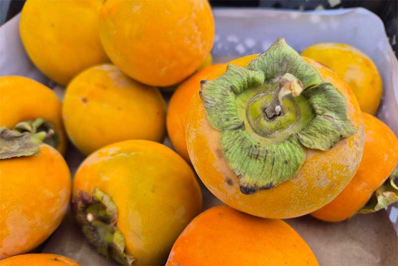 На складах в Оренбуржье обнаружили партию зараженной плодоовощной продукции из Узбекистана