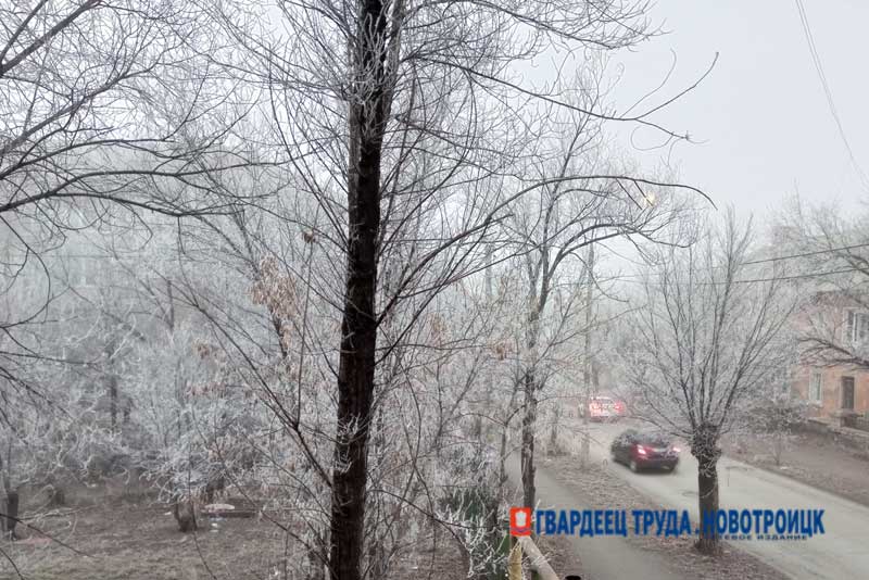 Днем 1 декабря в Оренбуржье без осадков, туман и до +5 градусов