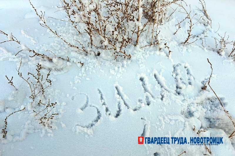 Днём 2 февраля в Оренбуржье ожидается снег, метель и до -7 градусов