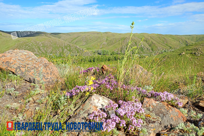 На востоке Оренбуржья 3 сентября будет жарко, а на западе – резкое понижение температуры