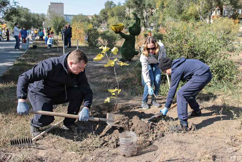«Металлоинвест» помог высадить семейную аллею в парке Новотроицка