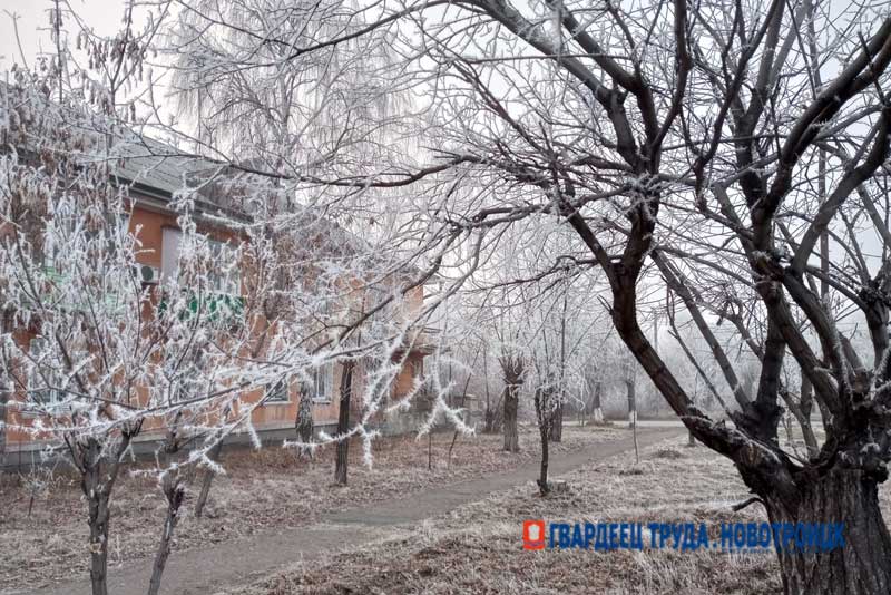 Днем 2 декабря в Оренбуржье похолодает, ожидается до +2 градусов