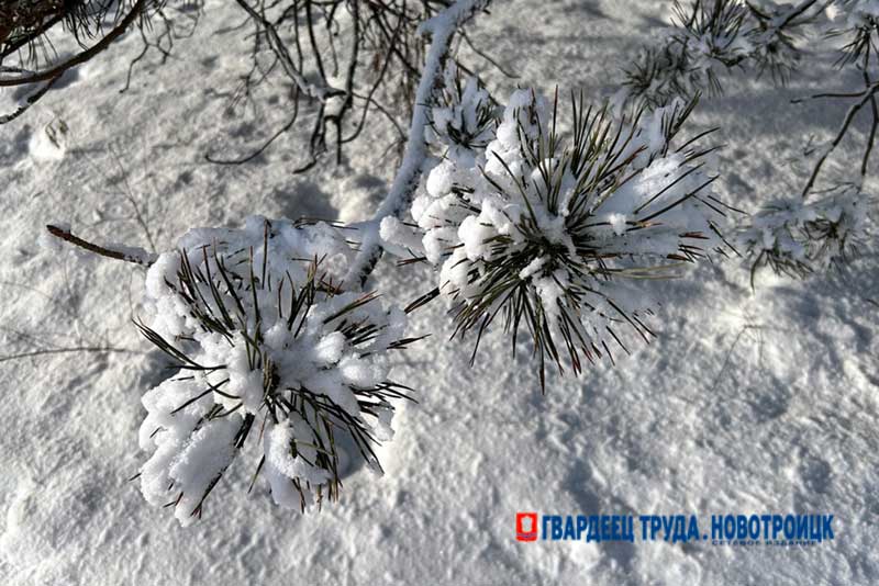 Днем 3 февраля в Оренбуржье снег, метель, скользко, ожидается до -11 градусов