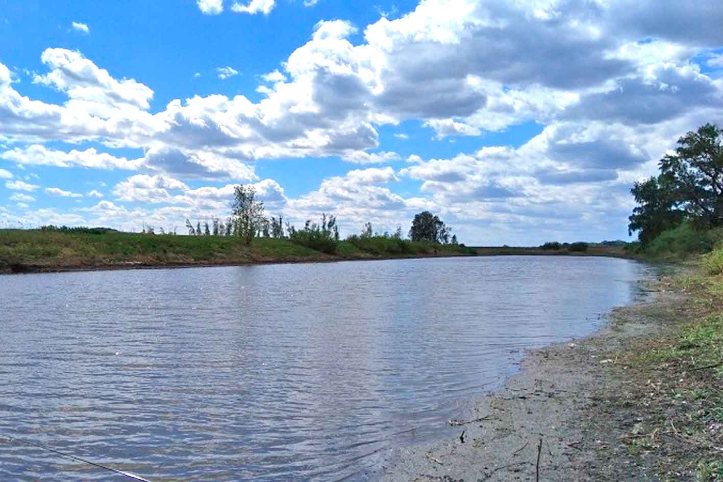 В начале июля в Оренбуржье ожидается летняя жаркая погода, но с грозовыми дождями