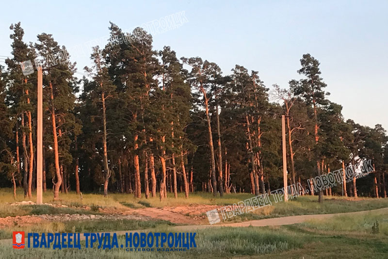 В Оренбуржье открылся охотничий сезон