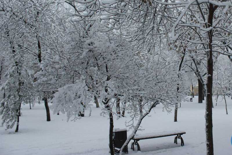 Синоптики рассказали, когда в Оренбуржье выпадет снег