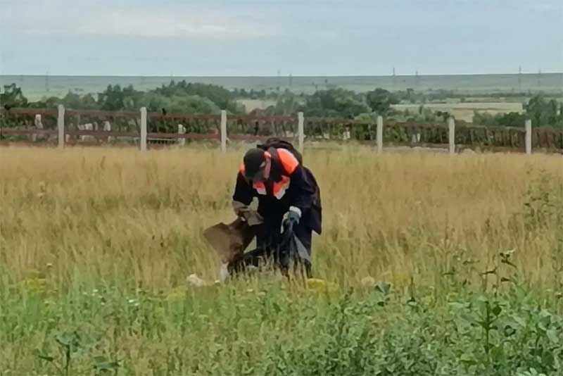 В Новотроицке  ликвидировали еще три  несанкционированные свалки