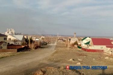 В окрестностях Новотроицка введен карантин по бешенству животных