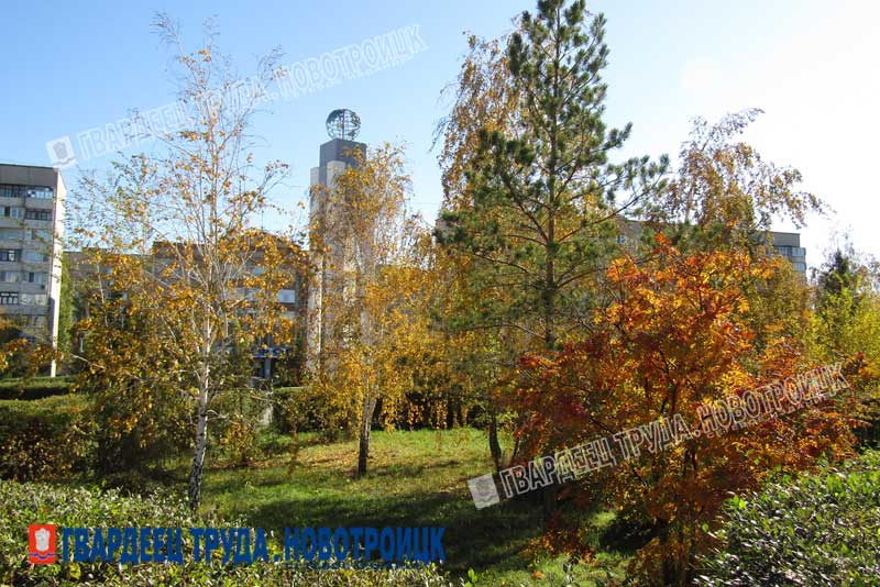 Днём 7 октября в Оренбуржье будет тепло, без осадков, до +20 градусов