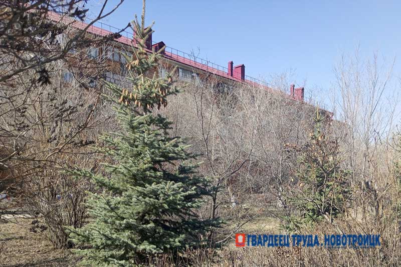 Днем 8 апреля в Оренбуржье без осадков, потеплеет до +18 градусов