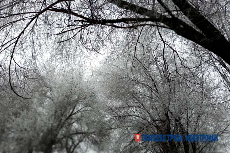 Днём 8 декабря в Оренбуржье ожидается снег и похолодание до -5 градусов