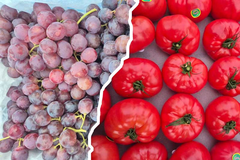 На территории Оренбуржья выявлено более 200 тонн зараженной импортной продукции