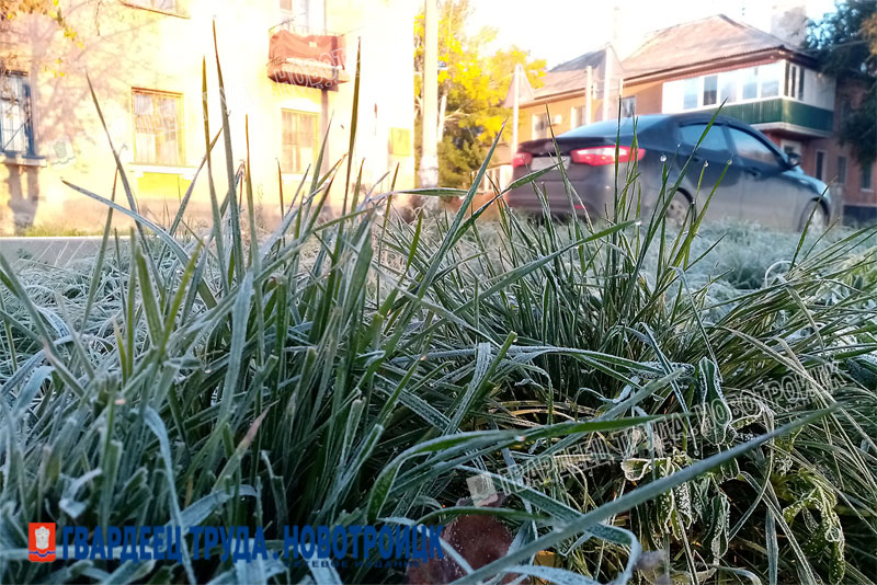 В Оренбуржье  10 и 11 сентября в ночные часы  местами ожидаются заморозки