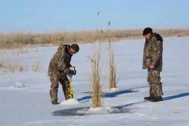 «Глоток воздуха» для спасения рыбы. В Оренбуржье в двенадцатый раз проходит экологическая акция