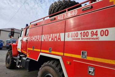 На территории Оренбуржья с начала года произошло свыше 980 природных пожаров