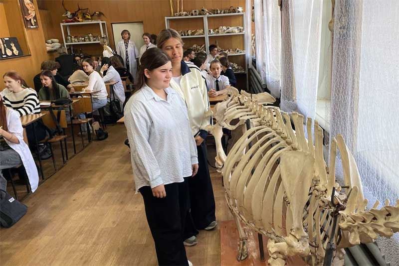 Новотроицкие школьники стали участниками регионального этапа Всероссийского профориентационного форума