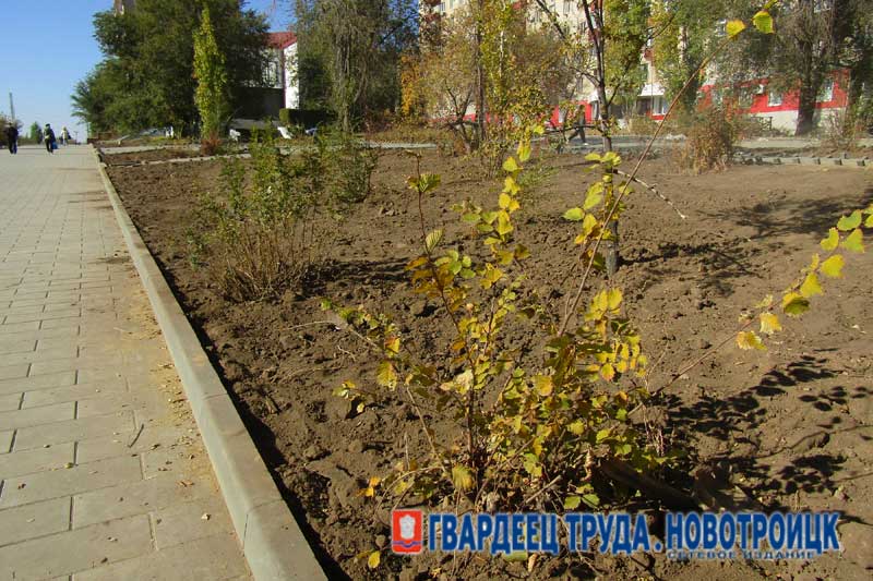 Прокуратура  Новотроицка взяла на контроль  работы по  благоустройству каскада аллей  на улице Советской