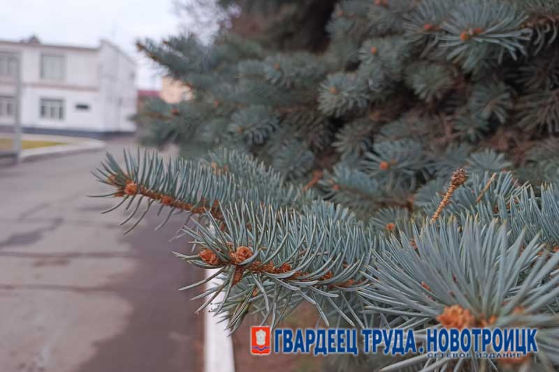 Днем 10 декабря в Оренбуржье морозно и без осадков, ожидается до -14 градусов