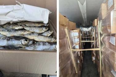 В Оренбуржье пресекли попытку незаконного ввоза 17 тонн вяленой рыбы из Казахстана