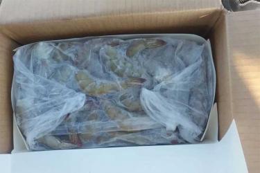 В Оренбуржье незаконно пытались ввезти из Казахстана свыше 3 тонн креветок