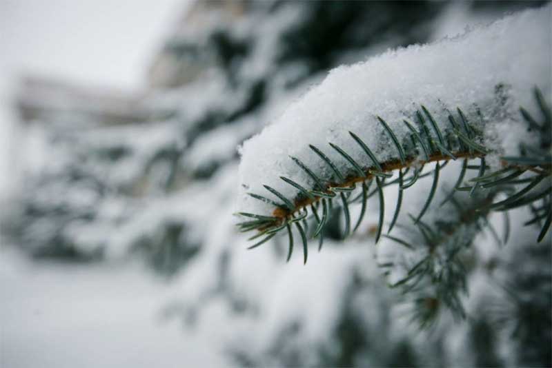 Синоптики прогнозируют небольшой снегопад в Оренбуржье
