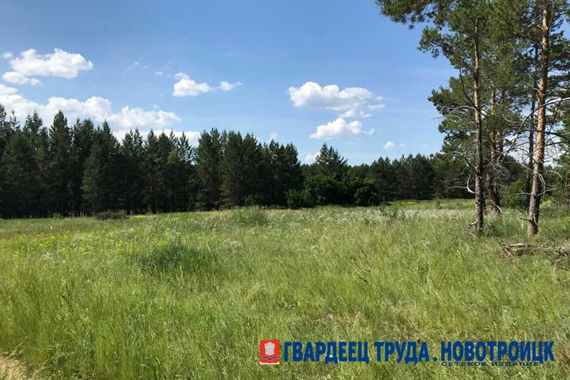 В Оренбуржье днем 12 августа снова жарко, ожидается до +31 градуса