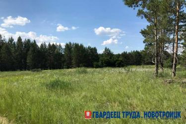 В Оренбуржье днем 12 августа снова жарко, ожидается до +31 градуса