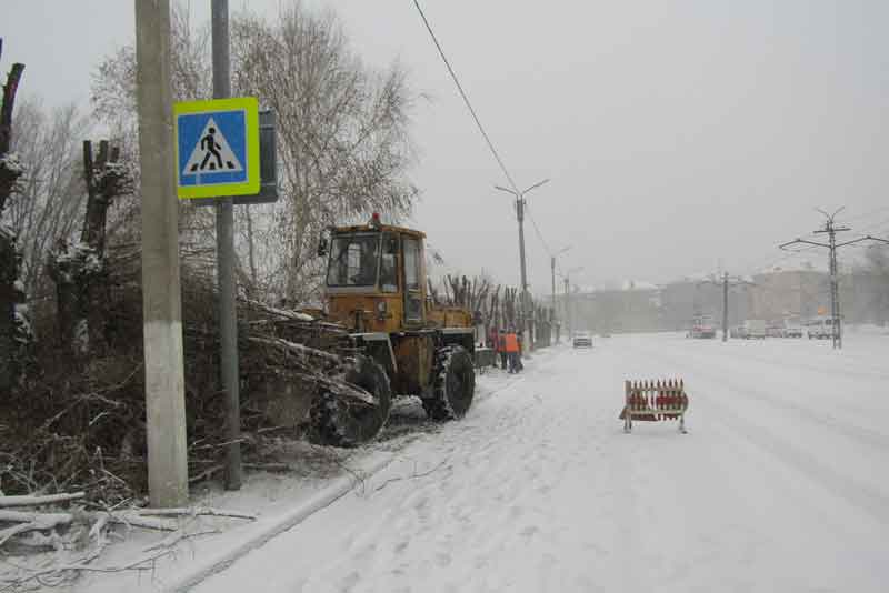 «Зелёные лёгкие» города нуждаются в заботе